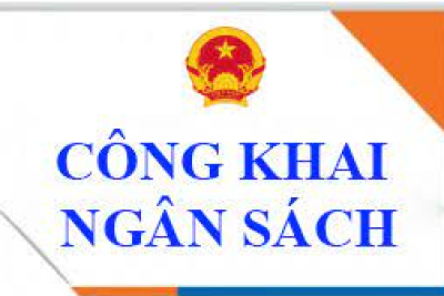 Công bố công khai giao dự toán ngân sách nhà nước năm 2025