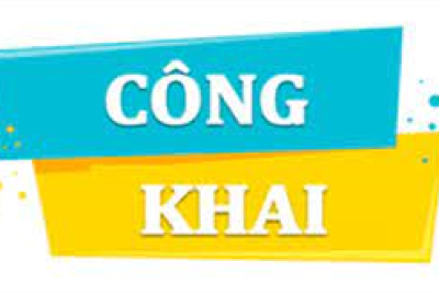 Báo cáo thường niên năm 2024 của trường Tiểu học Hải Phúc