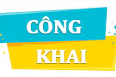 Công bố công khai tình hình mua sắm, quản lý, sử dụng trụ sở làm việc, tài sản công, tài sản cố định năm 2024 của Trường Tiểu Học Hải Phúc