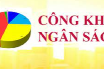 Công bố công khai bổ sung dự toán ngân sách năm 2025 của trường Tiểu Học Hải Phúc (Căn cứ theo QĐ số 125/QĐ-PDGD&ĐT Hải Hậu ngày 17/03/2025)